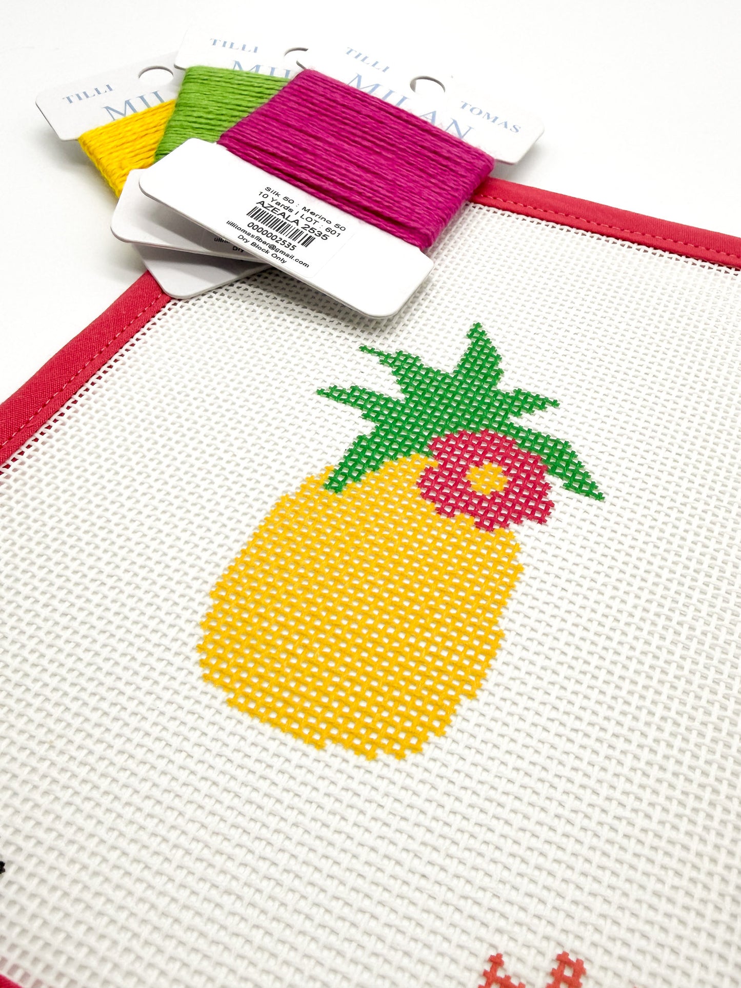 Pineapple Beginner Needlepoint Kit